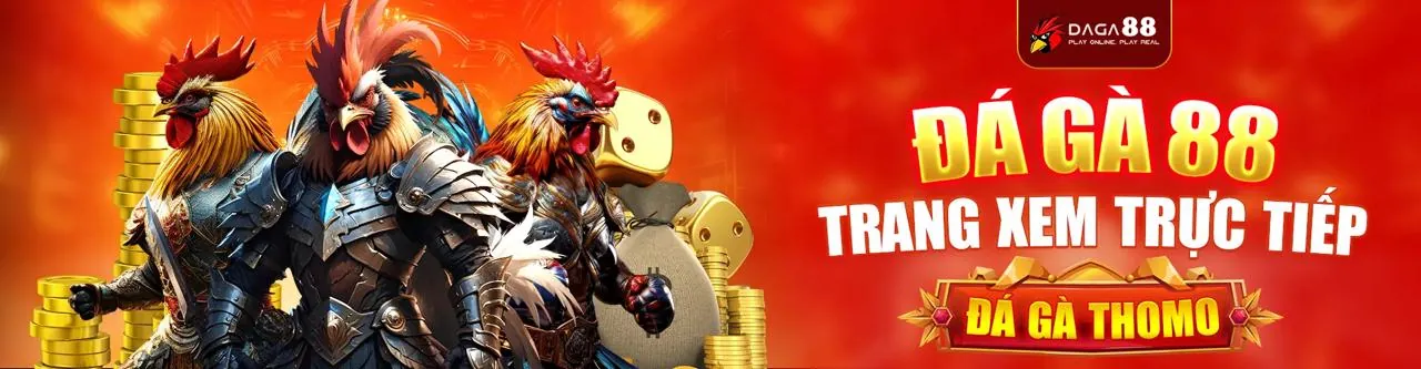 Đá Gà trực tuyến s66
