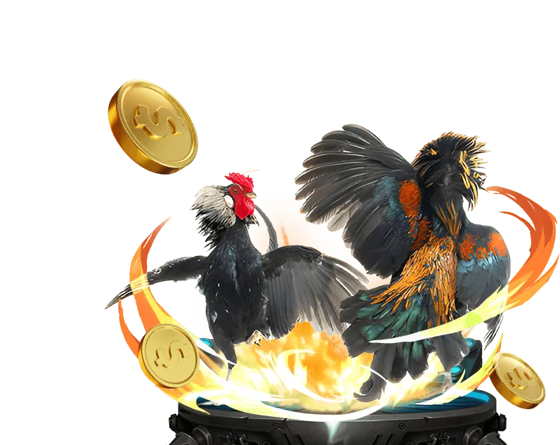 Bảng xếp hạng tay bài poker